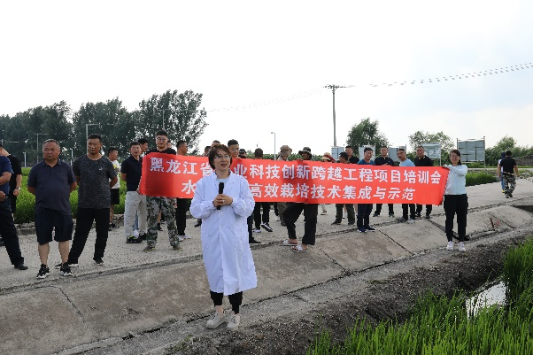 2024澳门原料网1688