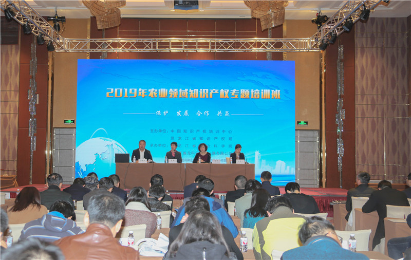 2024澳门原料网1688