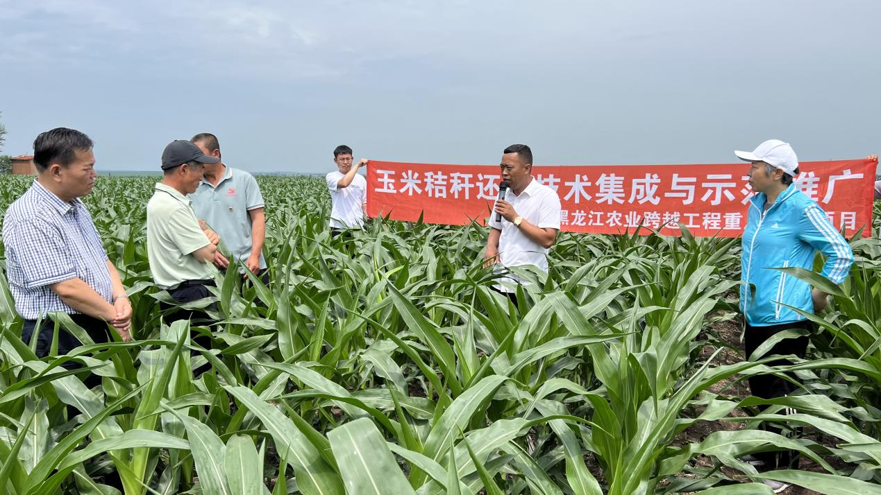 2024澳门原料网1688