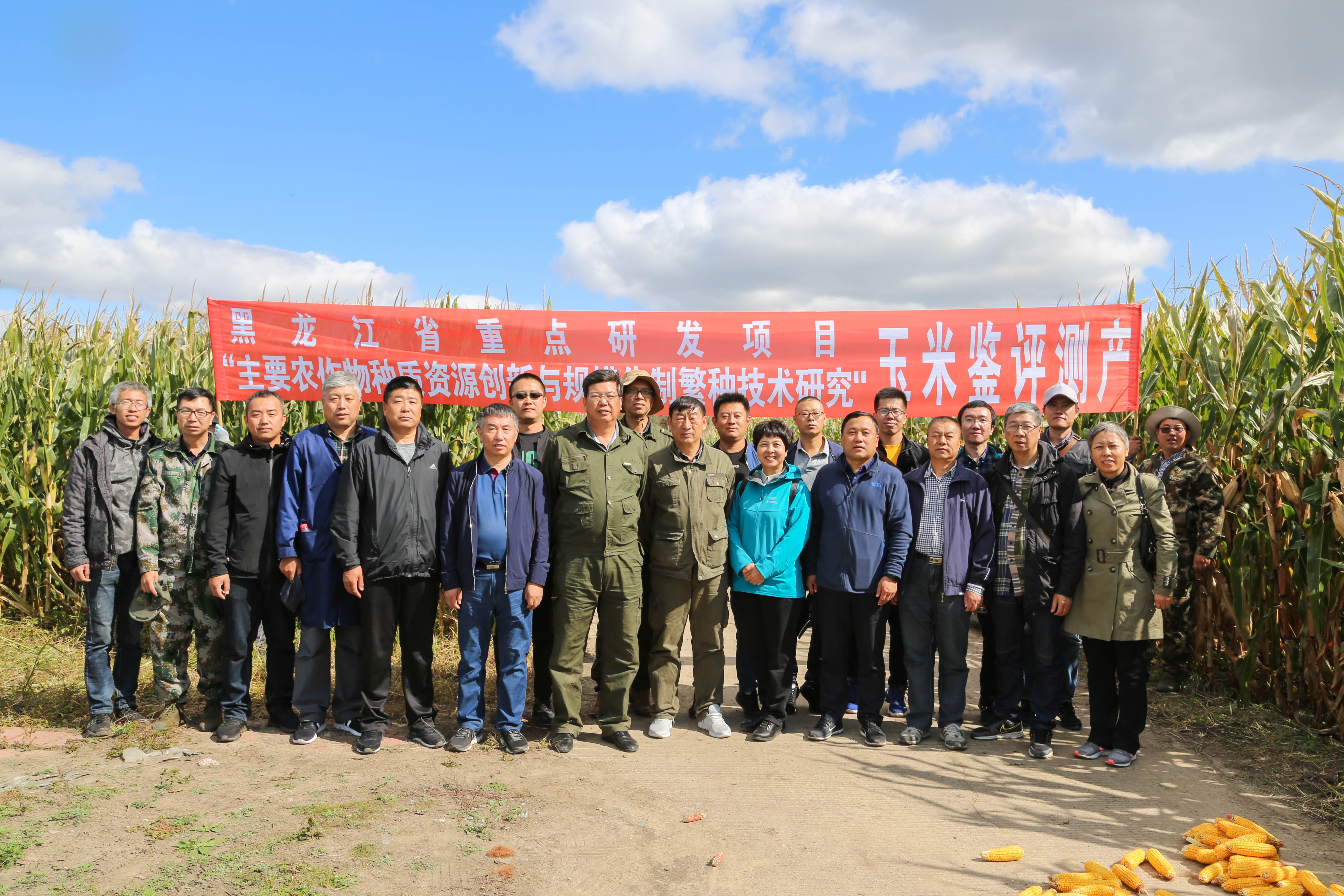 2024澳门原料网1688