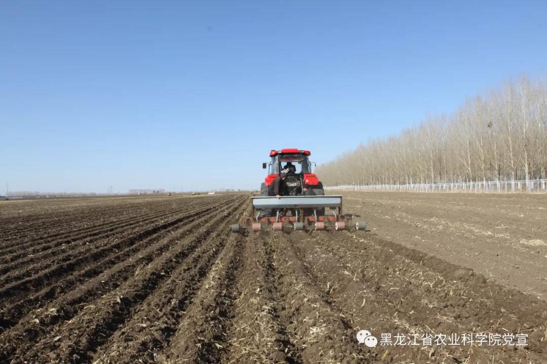 2024澳门原料网1688