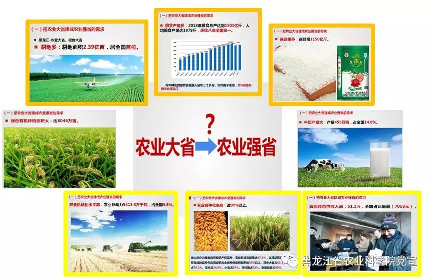 2024澳门原料网1688