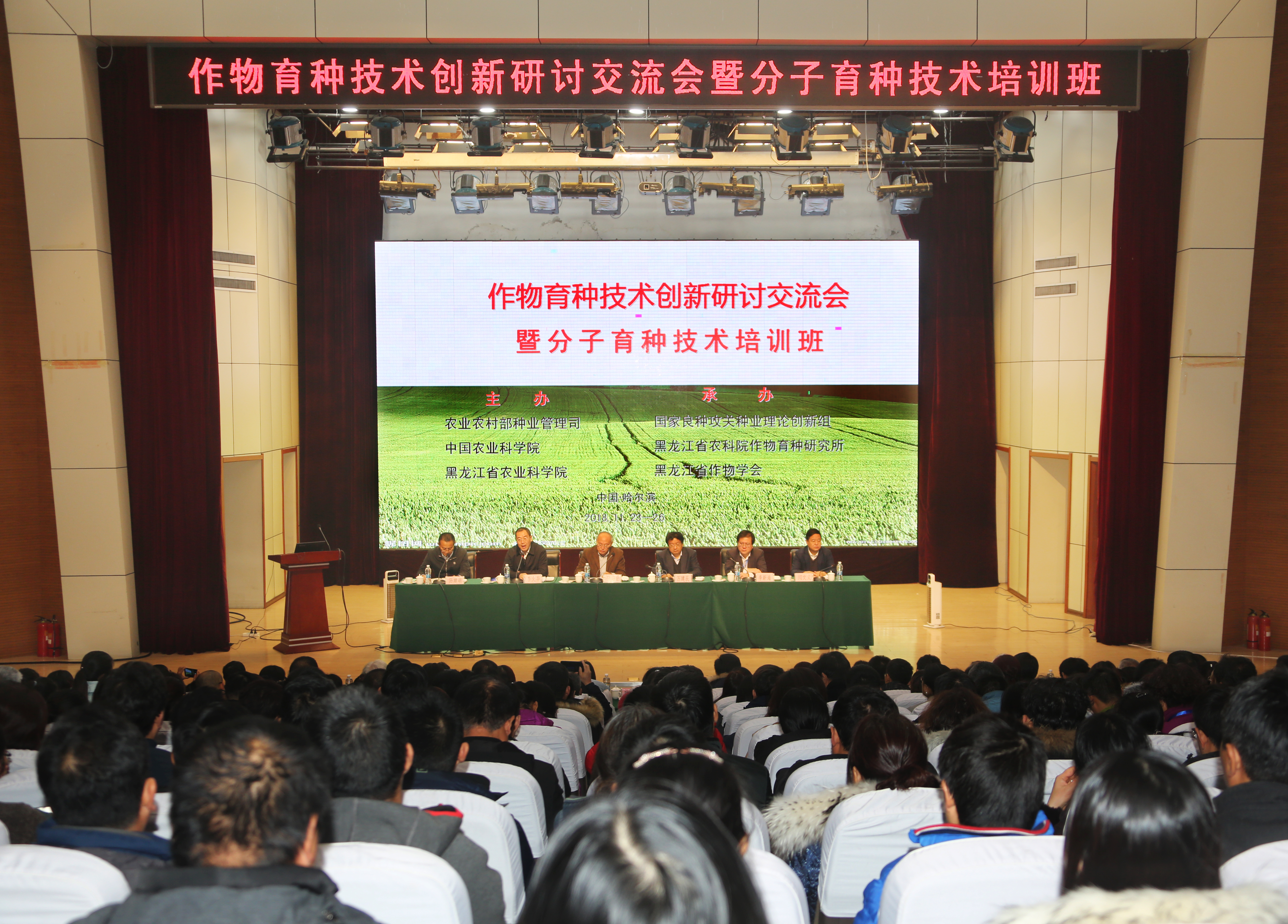 2024澳门原料网1688