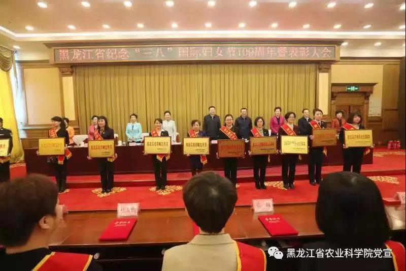 2024澳门原料网1688