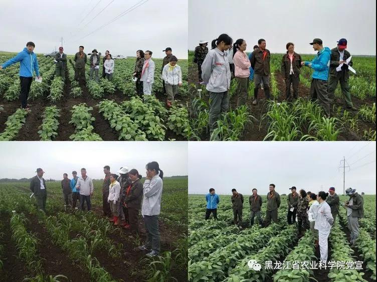 2024澳门原料网1688